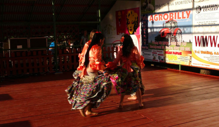 22. fotografia fotogalérie Festival 2014