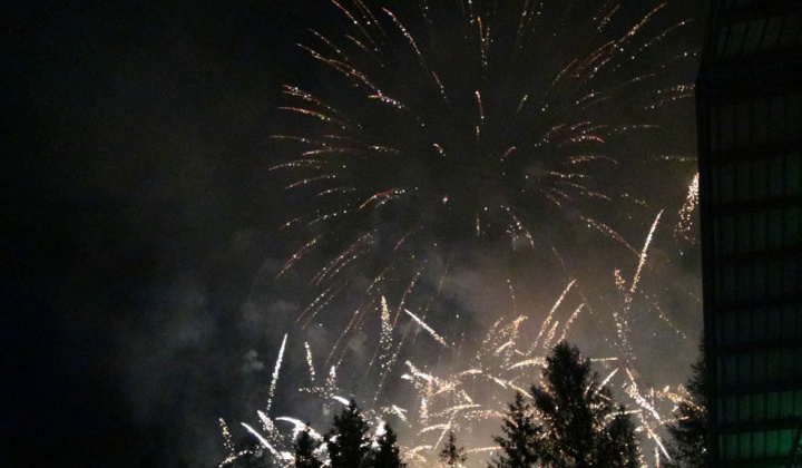 8. fotografia fotogalérie Festival 2013